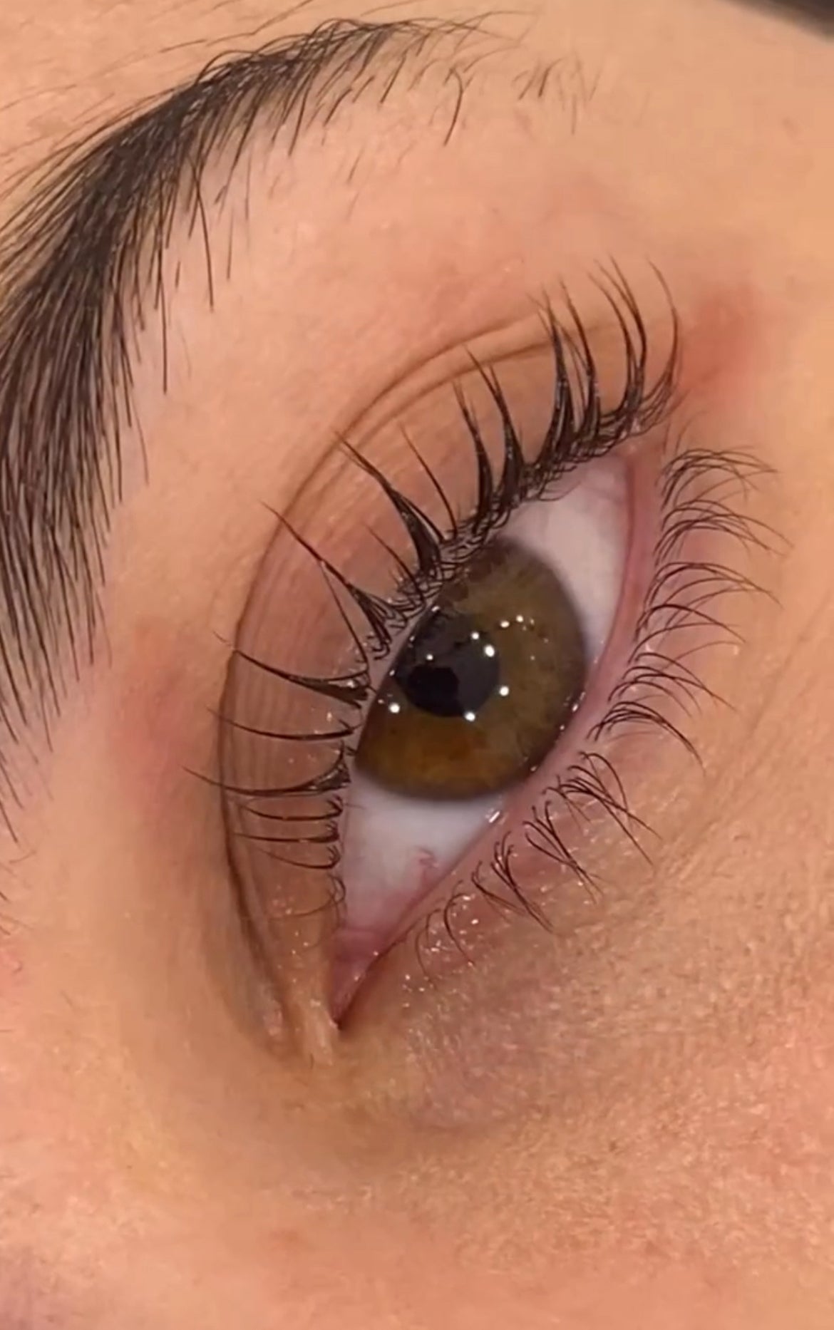 CLASSIC LASH LIFT & TINT
